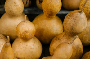 Natural Dried  Gourd