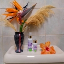 Pooparomah Toilet and Air Freshner