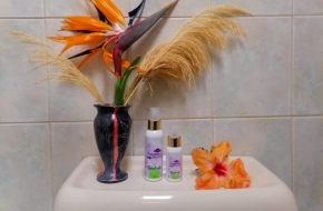 Pooparomah Toilet and Air Freshner