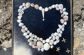 Sea chells love art