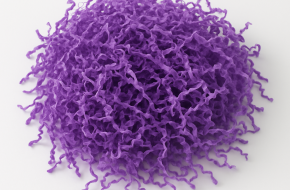 Shredded Paper Filler